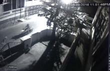 Bomb attack on BJP headquarters: Attacker caught on surveillance camera