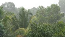 Rains