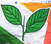 Kerala Congress (Mani) party symbol