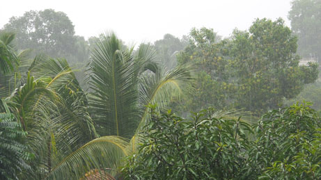 Rains